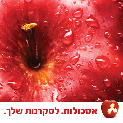 קורסי אסכולות - בדיוק לסקרנות שלך